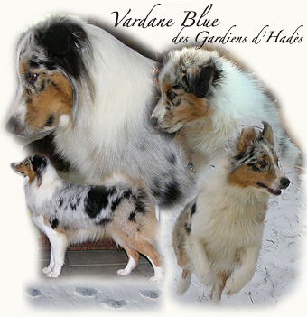 Publication : La tribu du vent Auteur : Maratrat Isabelle