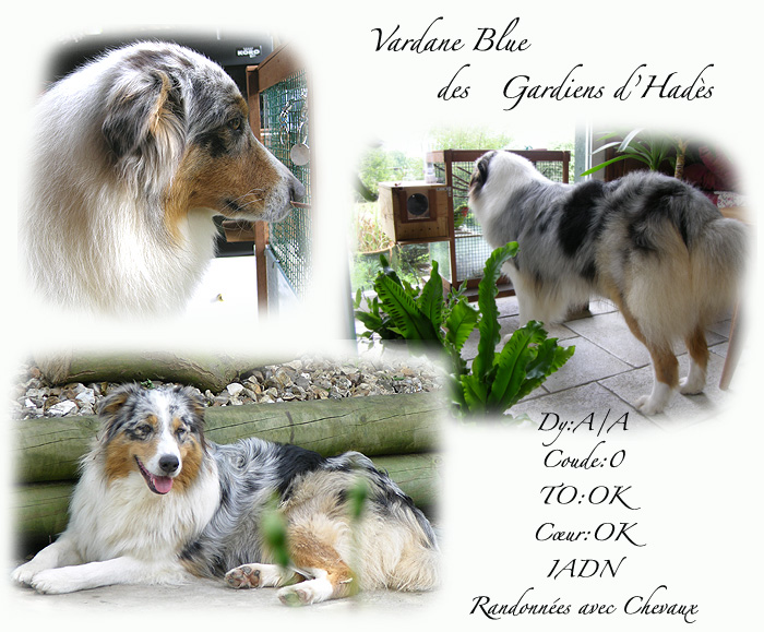 Publication : La tribu du vent Auteur : Maratrat Isabelle