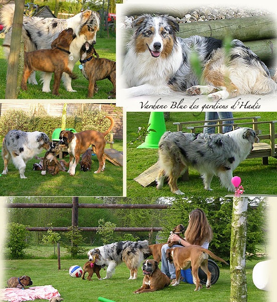 Publication : La tribu du vent Auteur : Maratrat Isabelle