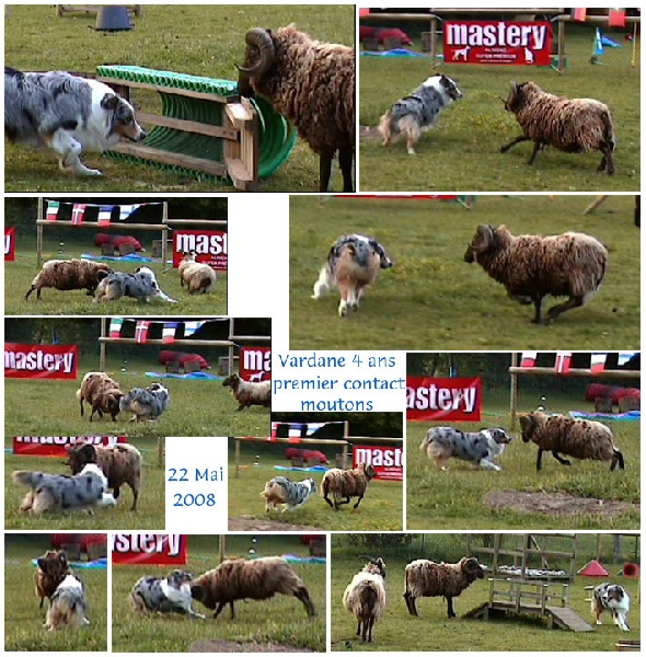 Publication : La tribu du vent Auteur : Maratrat Isabelle