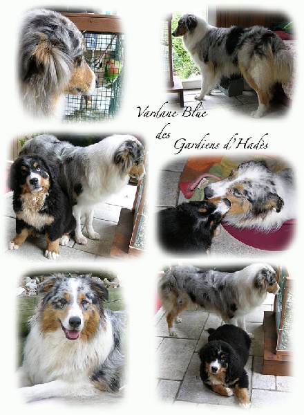 Publication : La tribu du vent Auteur : Maratrat Isabelle