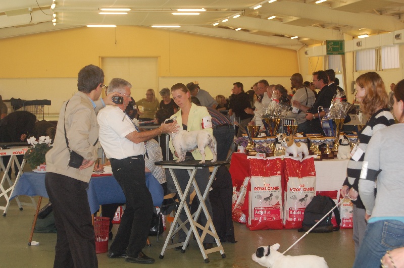 Cuddly intelligent amazing dite c.i.a. Bcbg Belle Carrure Belle Gueule