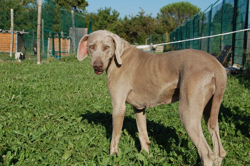 Publication : Bcbg Belle Carrure Belle Gueule