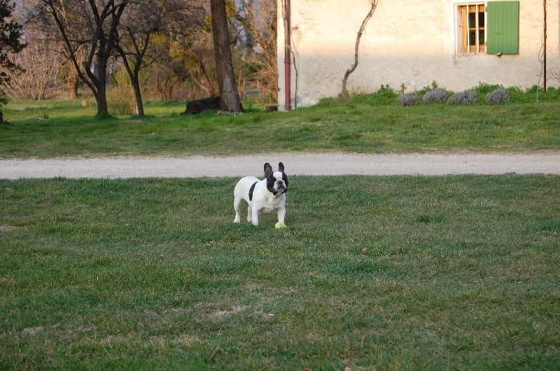 Ckiproko Bcbg Belle Carrure Belle Gueule