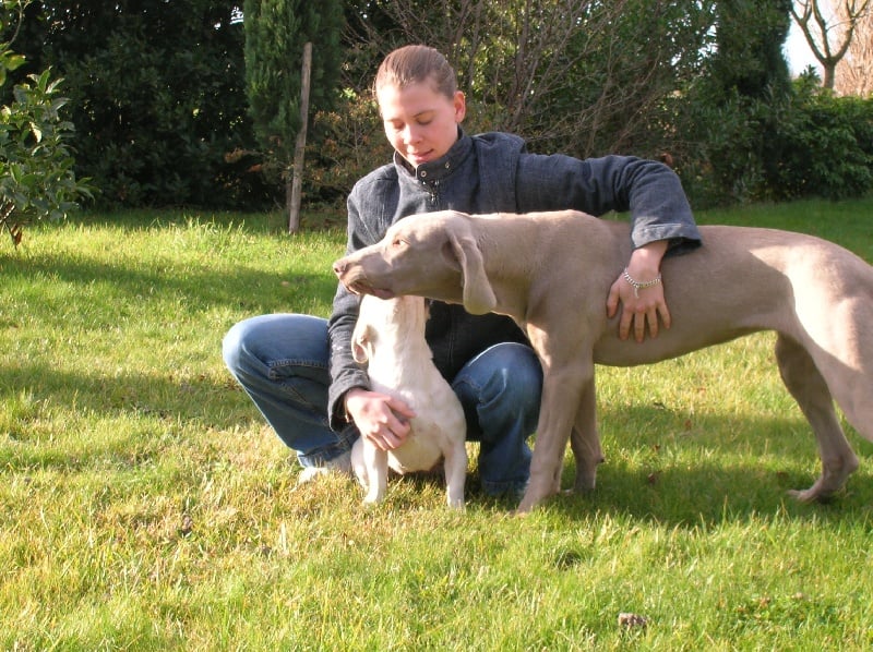 Publication : Bcbg Belle Carrure Belle Gueule