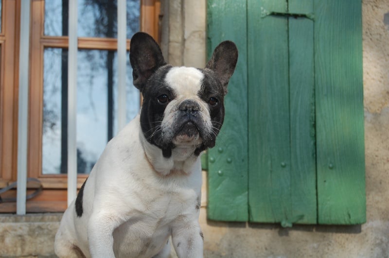 Ckiproko Bcbg Belle Carrure Belle Gueule