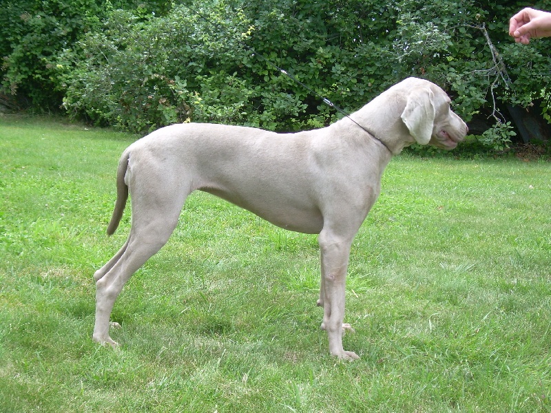 Publication : Bcbg Belle Carrure Belle Gueule