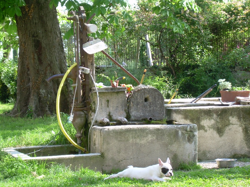 Publication : Bcbg Belle Carrure Belle Gueule Auteur : E. Allemand