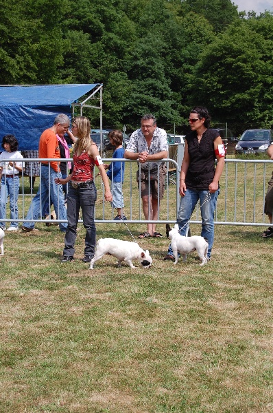 Publication : Bcbg Belle Carrure Belle Gueule Auteur : E. Allemand