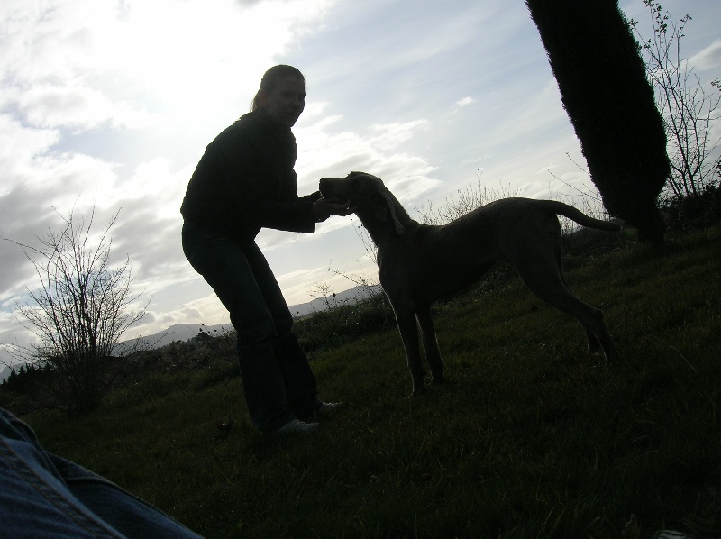 Publication : Bcbg Belle Carrure Belle Gueule