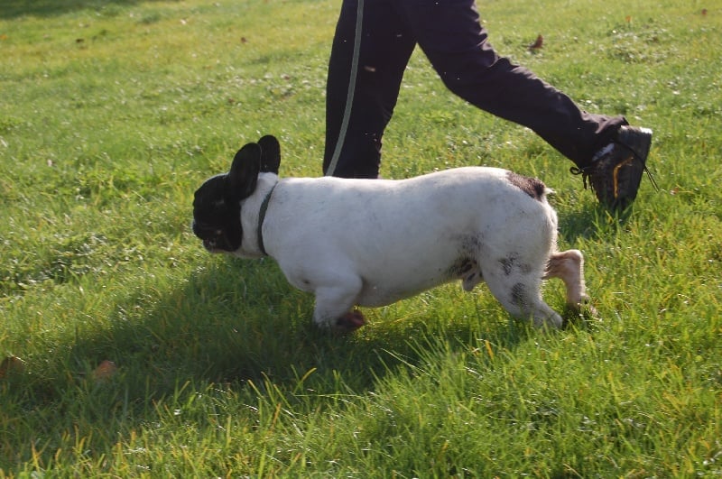 Ckiproko Bcbg Belle Carrure Belle Gueule