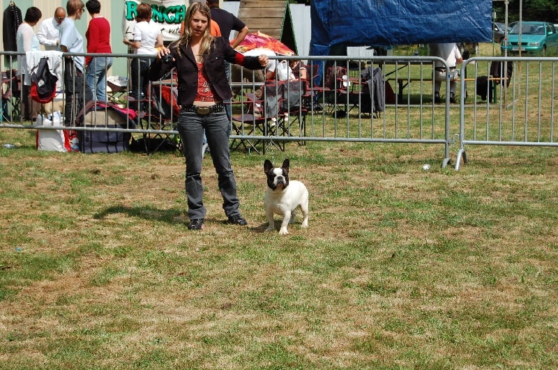 Ckiproko Bcbg Belle Carrure Belle Gueule