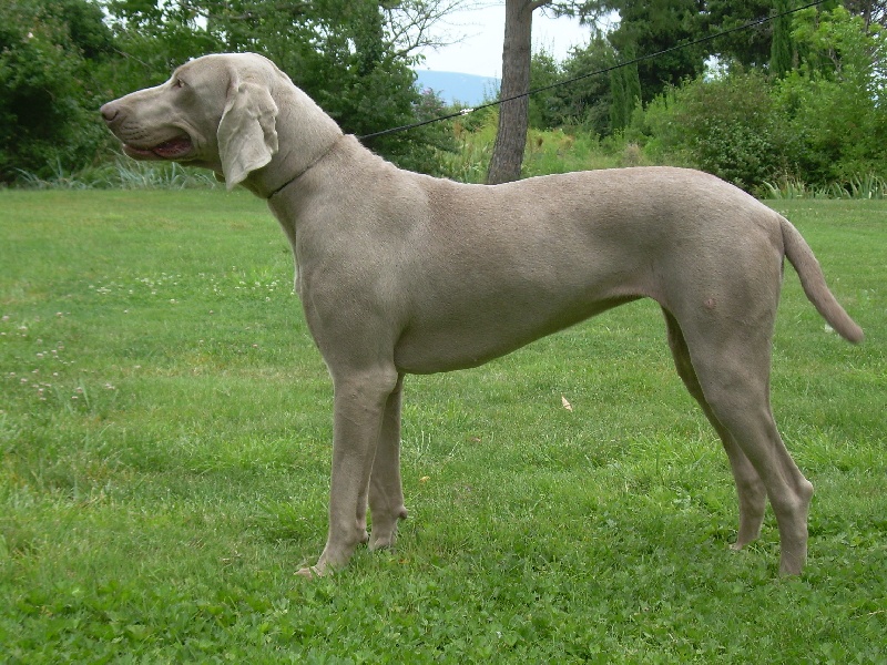 Publication : Bcbg Belle Carrure Belle Gueule