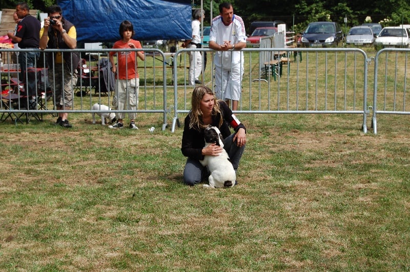 Ckiproko Bcbg Belle Carrure Belle Gueule