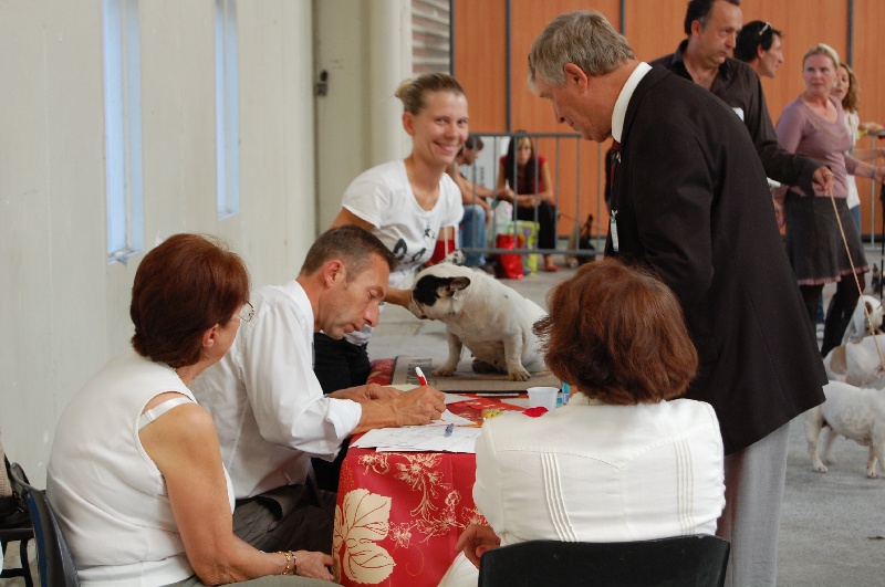 Cuddly intelligent amazing dite c.i.a. Bcbg Belle Carrure Belle Gueule