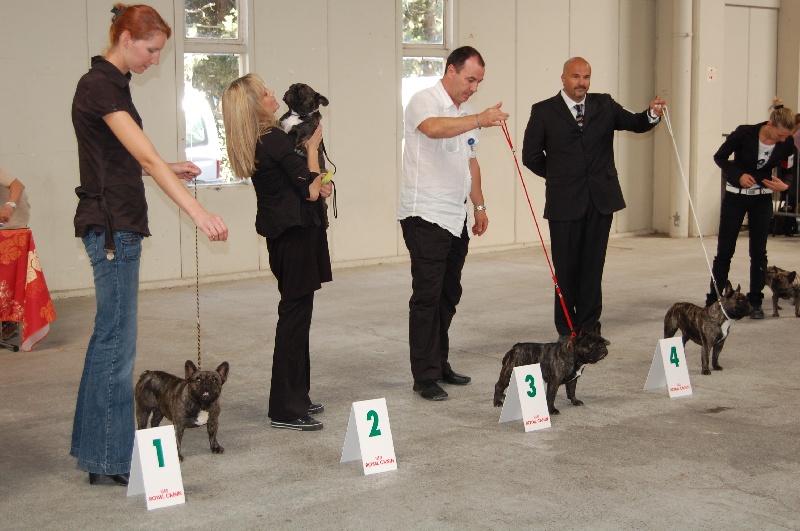 Cuddly intelligent amazing dite c.i.a. Bcbg Belle Carrure Belle Gueule