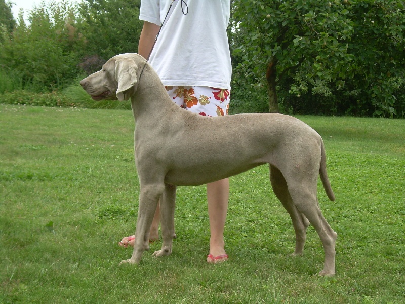 Publication : Bcbg Belle Carrure Belle Gueule