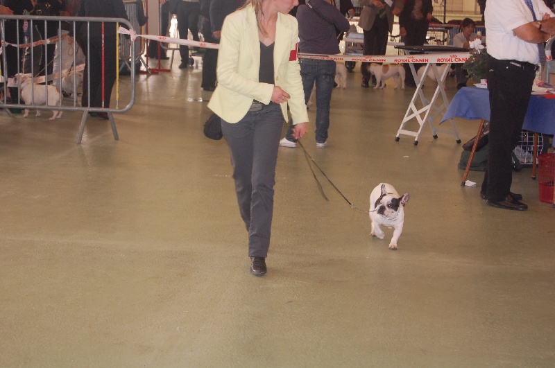 Cuddly intelligent amazing dite c.i.a. Bcbg Belle Carrure Belle Gueule