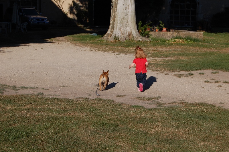 Honda fireblade Bcbg Belle Carrure Belle Gueule