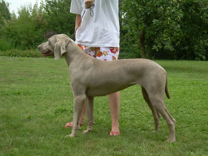 Publication : Bcbg Belle Carrure Belle Gueule