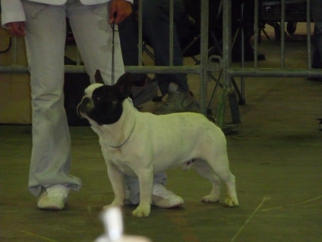 Ckiproko Bcbg Belle Carrure Belle Gueule