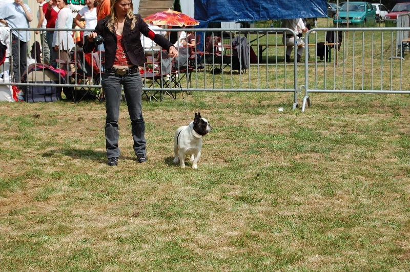 Ckiproko Bcbg Belle Carrure Belle Gueule