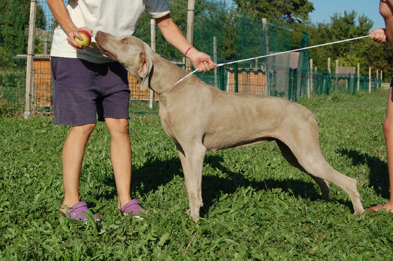 Publication : Bcbg Belle Carrure Belle Gueule