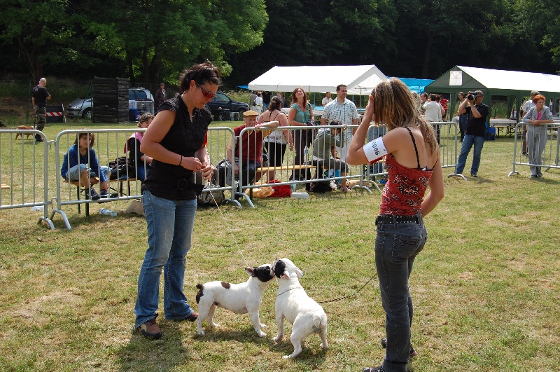 Publication : Bcbg Belle Carrure Belle Gueule Auteur : E. Allemand