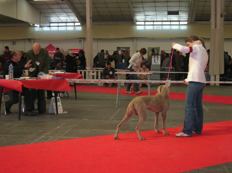 Publication : Bcbg Belle Carrure Belle Gueule