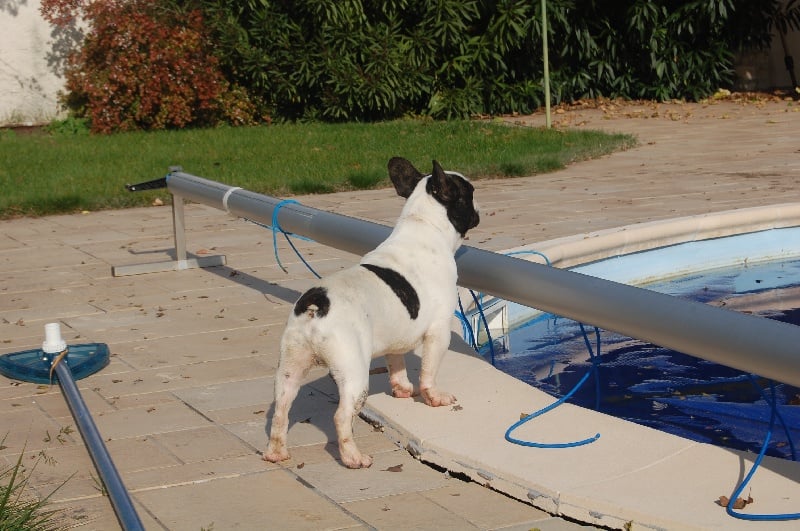 Ckiproko Bcbg Belle Carrure Belle Gueule