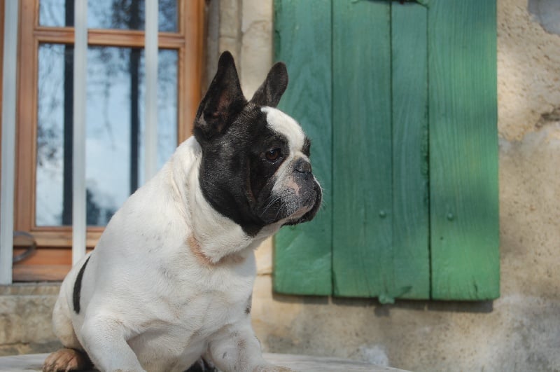 Ckiproko Bcbg Belle Carrure Belle Gueule