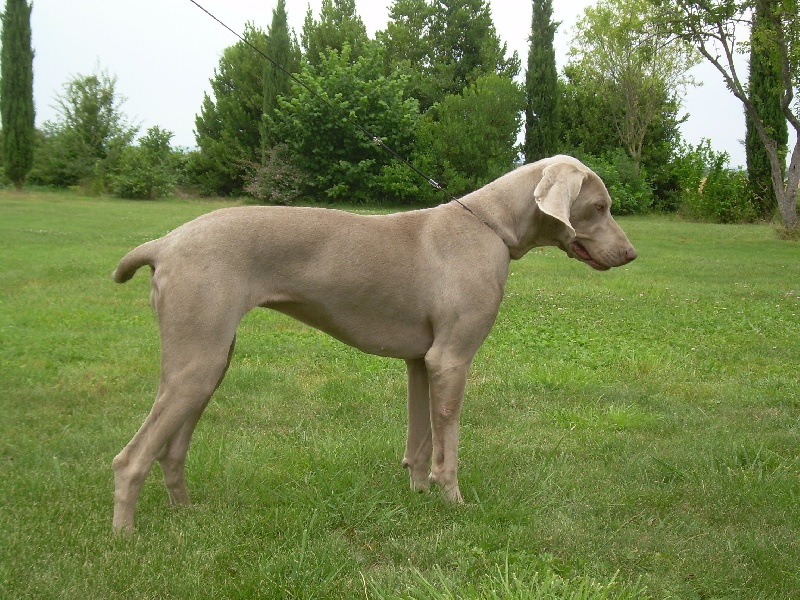 Publication : Bcbg Belle Carrure Belle Gueule