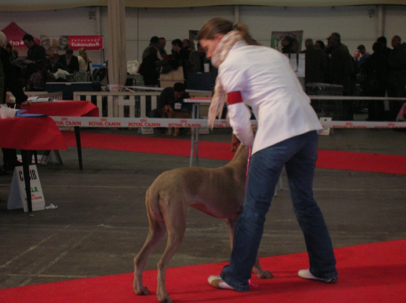 Publication : Bcbg Belle Carrure Belle Gueule