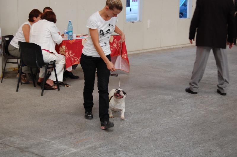 Cuddly intelligent amazing dite c.i.a. Bcbg Belle Carrure Belle Gueule