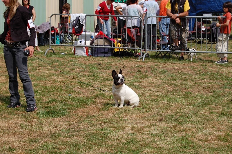 Ckiproko Bcbg Belle Carrure Belle Gueule