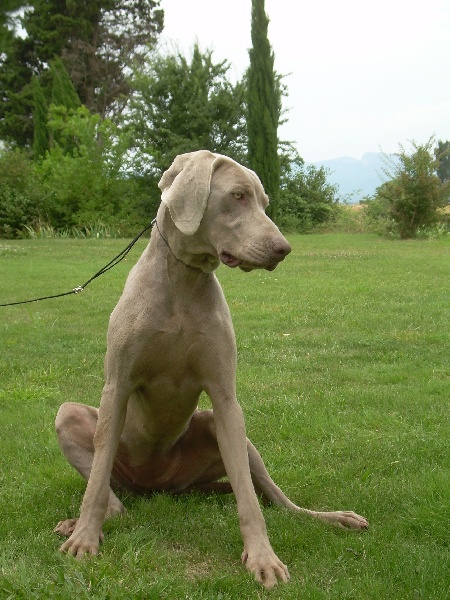 Publication : Bcbg Belle Carrure Belle Gueule