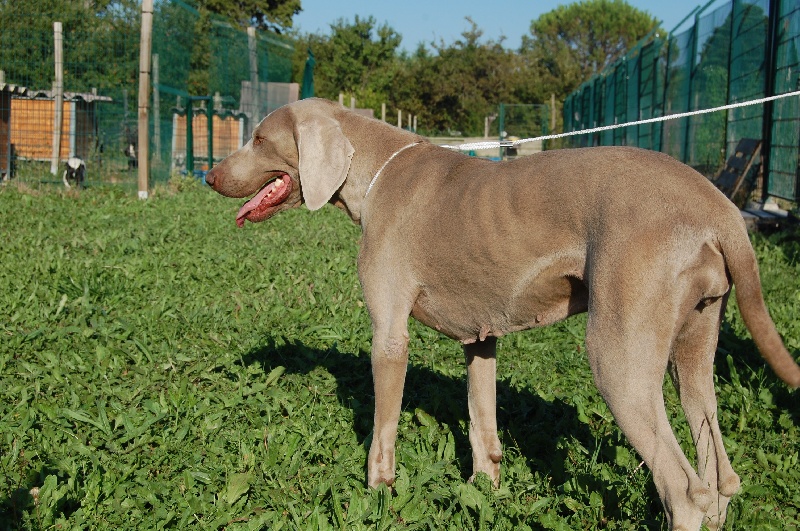 Publication : Bcbg Belle Carrure Belle Gueule