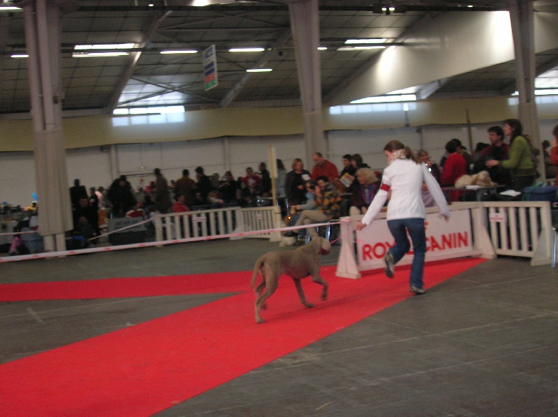 Publication : Bcbg Belle Carrure Belle Gueule