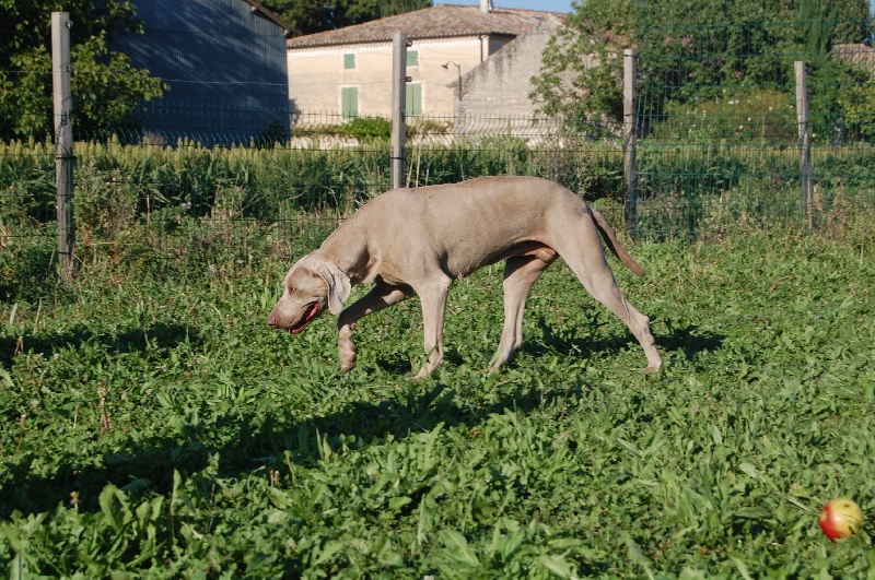 Publication : Bcbg Belle Carrure Belle Gueule