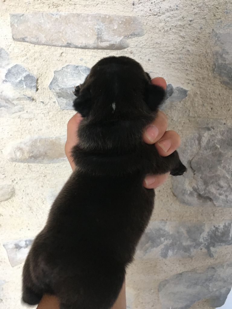 Nardéchoix premier Bcbg Belle Carrure Belle Gueule