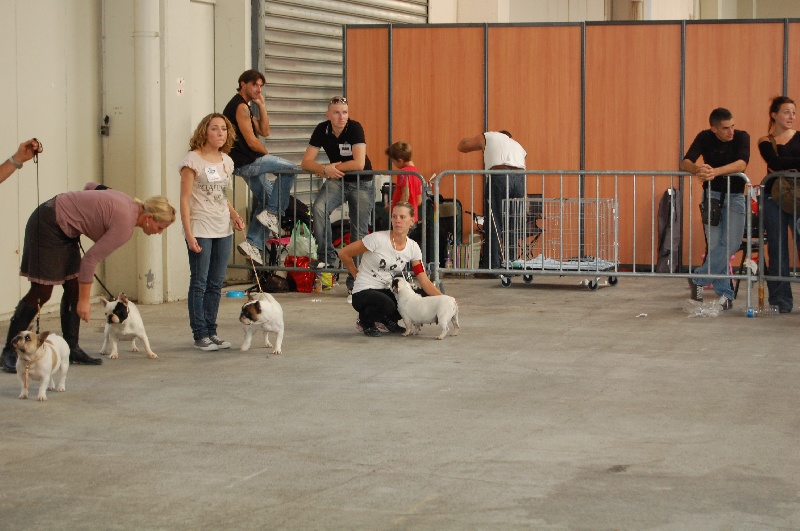 Cuddly intelligent amazing dite c.i.a. Bcbg Belle Carrure Belle Gueule