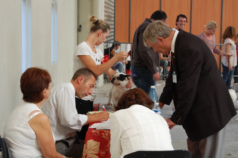 Cuddly intelligent amazing dite c.i.a. Bcbg Belle Carrure Belle Gueule