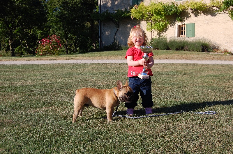 Honda fireblade Bcbg Belle Carrure Belle Gueule