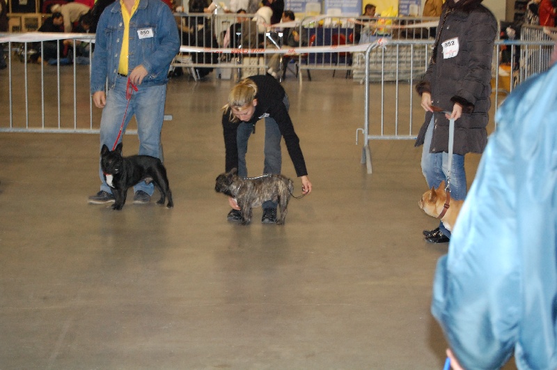 Chromozome d'upercut Bcbg Belle Carrure Belle Gueule