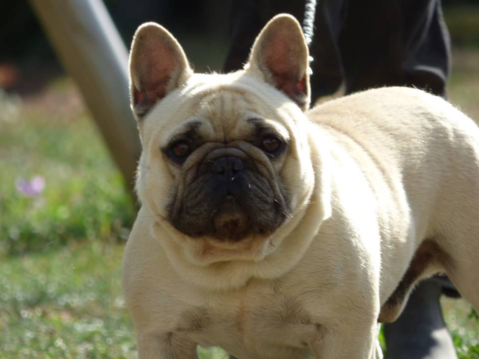 Lako Bcbg Belle Carrure Belle Gueule