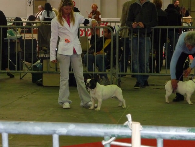 Ckiproko Bcbg Belle Carrure Belle Gueule