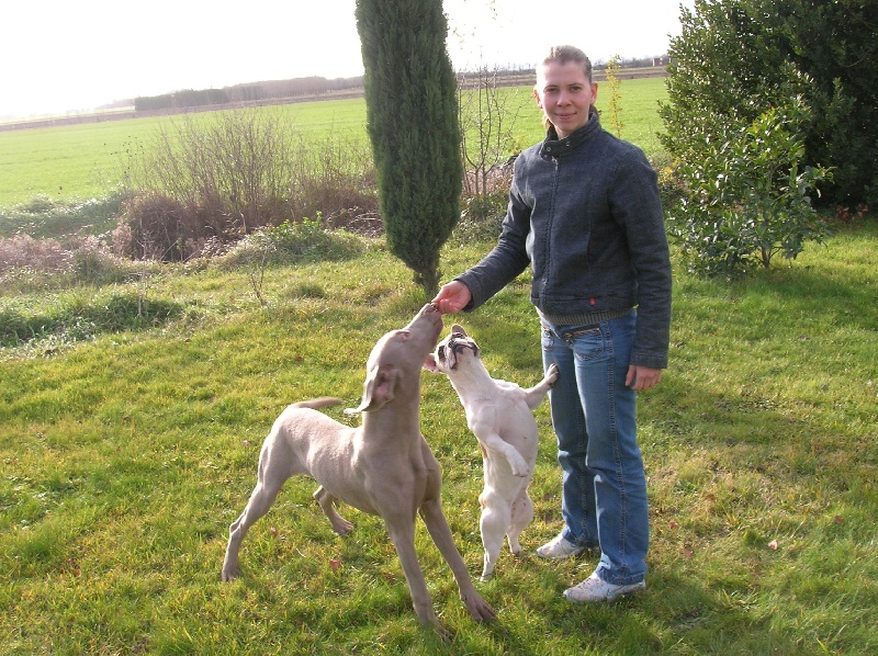 Publication : Bcbg Belle Carrure Belle Gueule