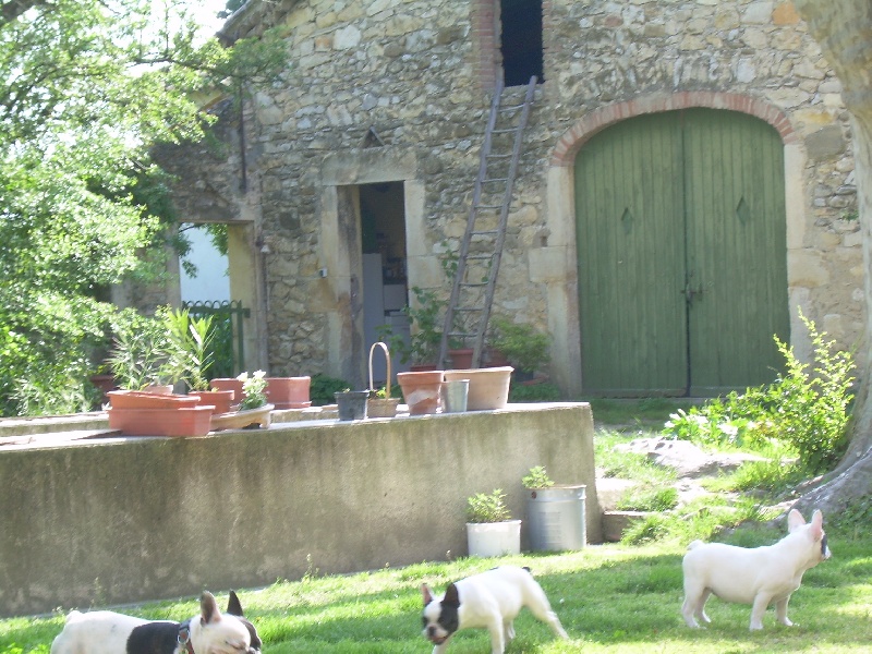 Publication : Bcbg Belle Carrure Belle Gueule Auteur : E. Allemand