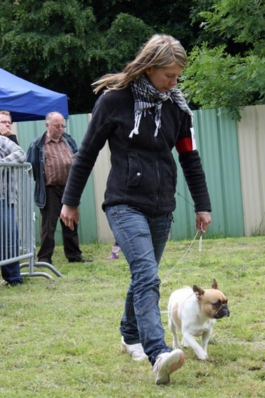 Divine idylle Bcbg Belle Carrure Belle Gueule - Excellent