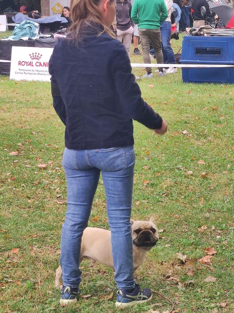 Raide dingue de toi Bcbg Belle Carrure Belle Gueule - 3 ème Très Bon